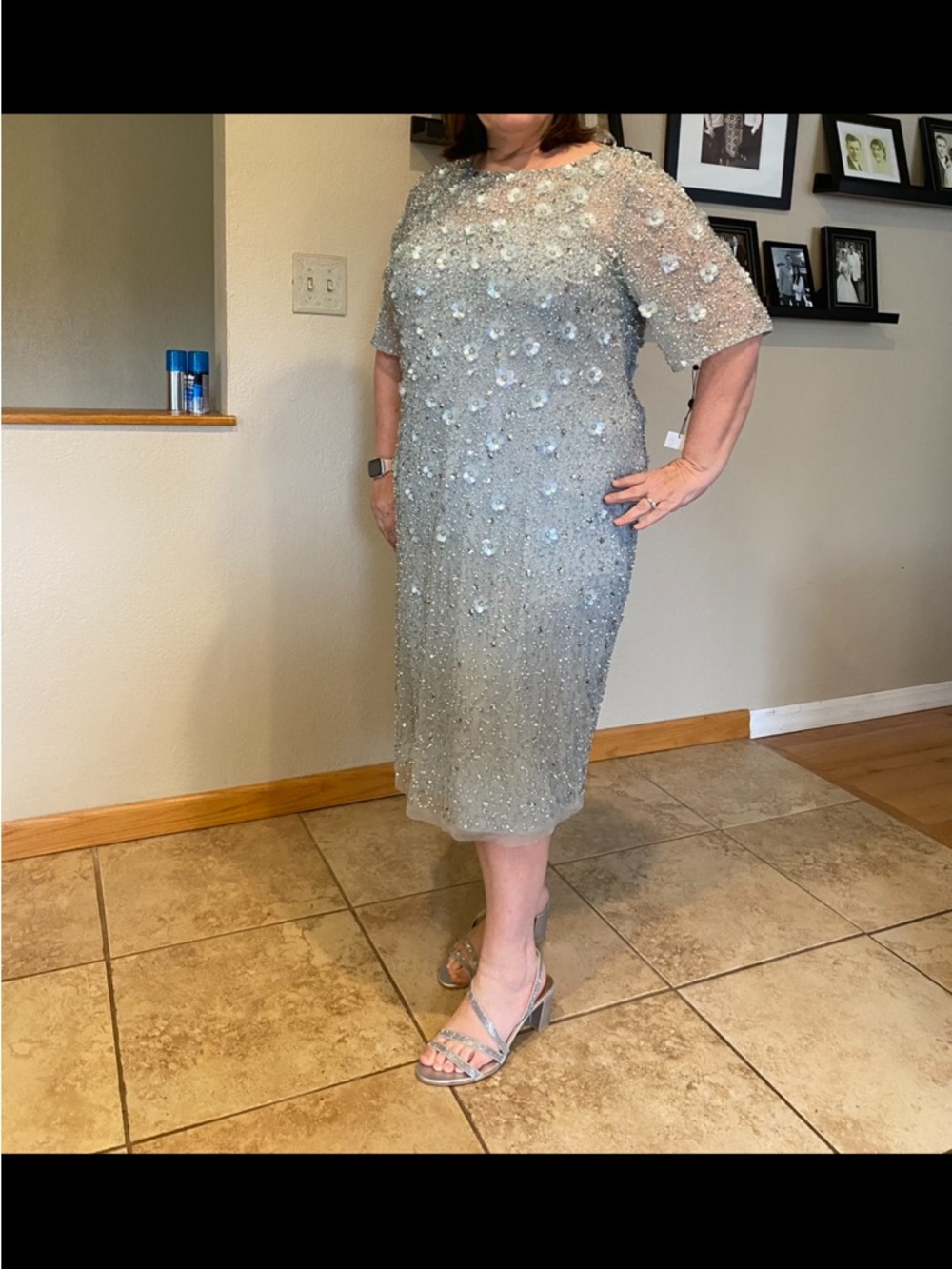 Adrianna Papell Silver Embellished Midi Sheath Dress - Picture 2 of 9